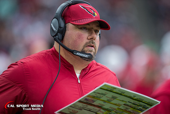 NFL 2017: Cardinals vs Texans NOV 19