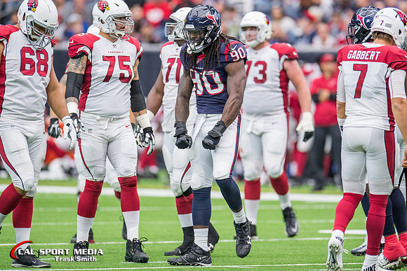 NFL 2017: Cardinals vs Texans NOV 19