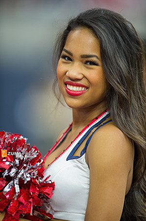 NFL 2014 - Houston Texans vs Buffalo Bills