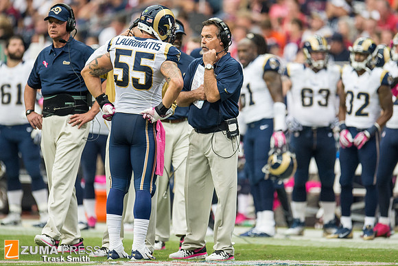 NFL 2013 - Houston Texans vs St. Louis Rams