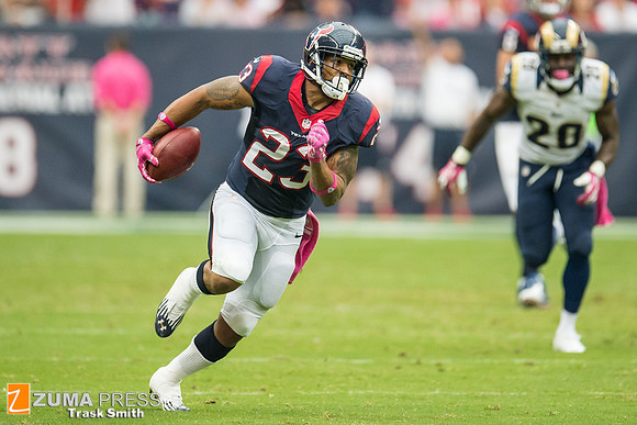 NFL 2013 - Houston Texans vs St. Louis Rams