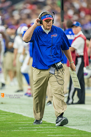 NFL 2014 - Houston Texans vs Buffalo Bills