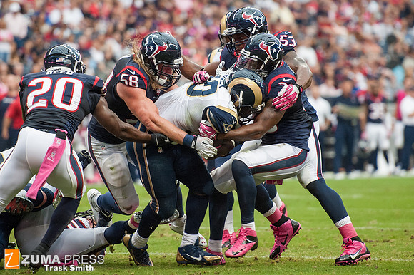 NFL 2013 - Houston Texans vs St. Louis Rams