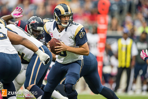 NFL 2013 - Houston Texans vs St. Louis Rams