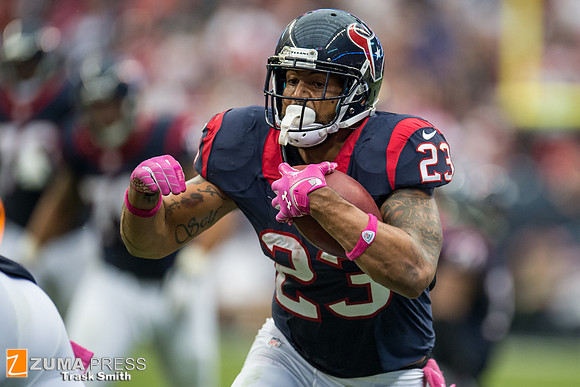 NFL 2013 - Houston Texans vs St. Louis Rams
