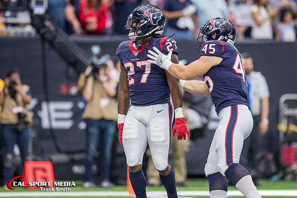 NFL 2017: Cardinals vs Texans NOV 19