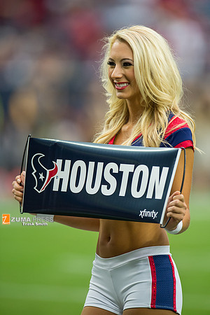 NFL 2014 - Houston Texans vs Buffalo Bills