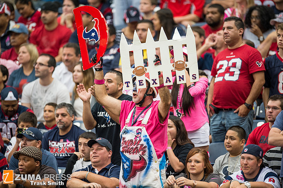 NFL 2013 - Houston Texans vs St. Louis Rams