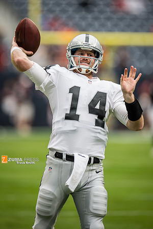 NFL 2013 - Houston Texans vs Oakland Raiders