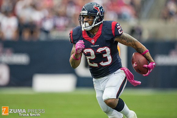 NFL 2013 - Houston Texans vs St. Louis Rams