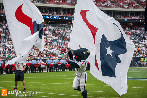 NFL 2014 - Houston Texans vs Washington Redskins