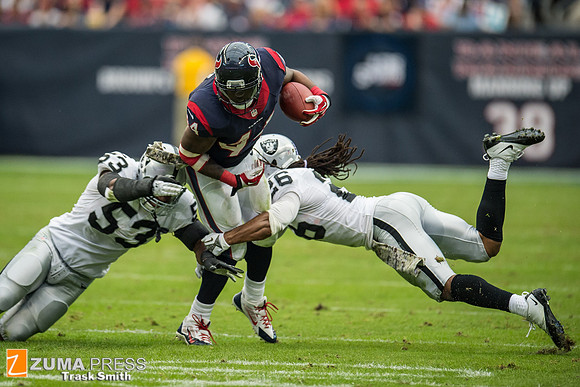 NFL 2013 - Houston Texans vs Oakland Raiders