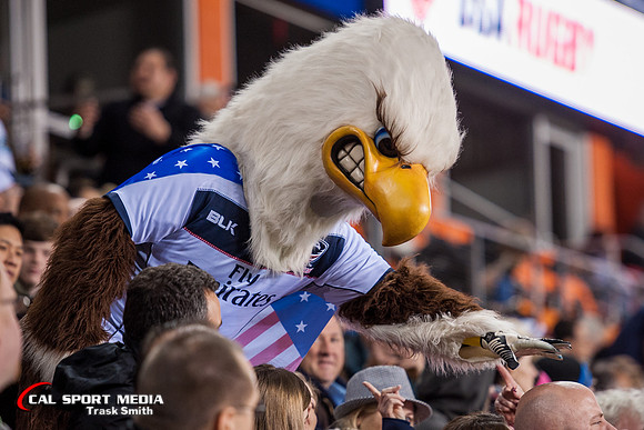 Rugby 2016: Argentina vs USA FEB 06