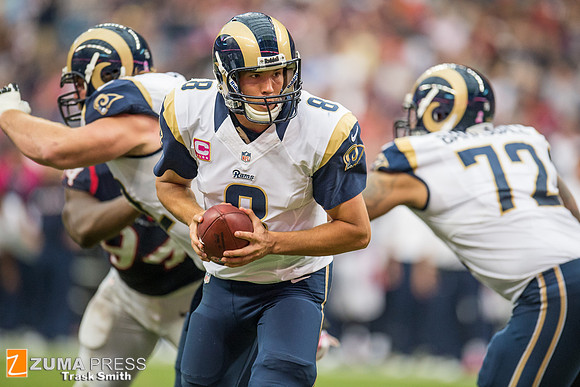 NFL 2013 - Houston Texans vs St. Louis Rams
