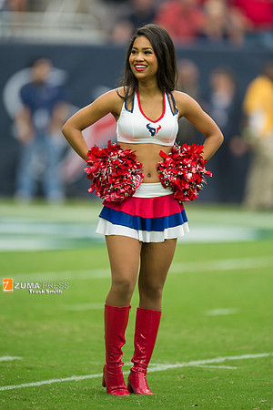NFL 2014 - Houston Texans vs Buffalo Bills