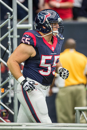NFL 2014 - Houston Texans vs Buffalo Bills