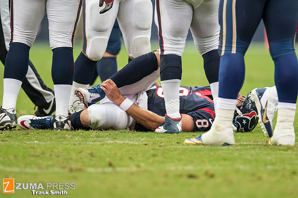 NFL 2013 - Houston Texans vs St. Louis Rams
