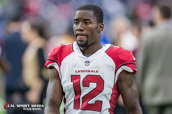 NFL 2017: Cardinals vs Texans NOV 19
