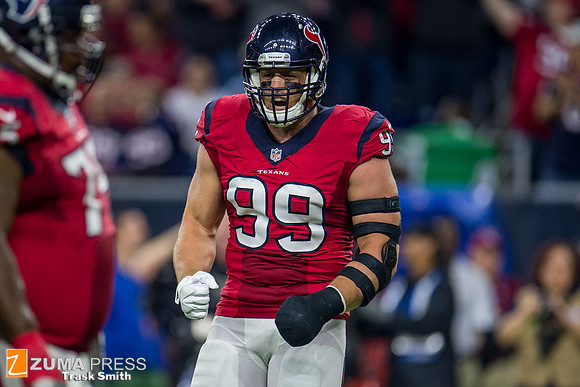 NFL 2015 - New England Patriots defeat Houston Texans 27-6