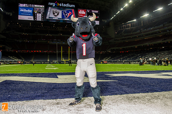 NFL 2017 - Houston Texans vs Oakland Raiders