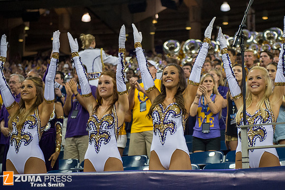 NCAA football 2014 - LSU Tigers vs Wisconsin Badgers