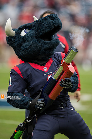 NFL 2013 - Houston Texans vs Jacksonville Jaguars