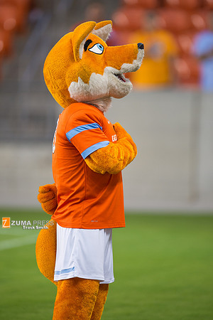 NWSL 2014 - Houston Dash vs Washington Spirit