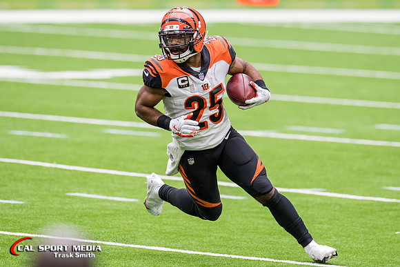 NFL 2020: Bengals vs Texans DEC 27