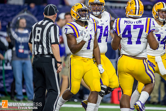 NCAA football 2015 - LSU Tigers vs Texas Tech Red Raiders