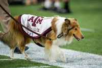 NCAA Football 2015: Arizona State vs Texas A&M SEP 05