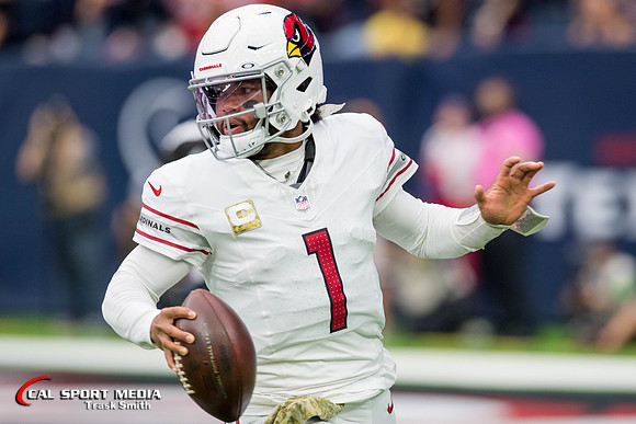 NFL 2023: Cardinals vs Texans NOV 19