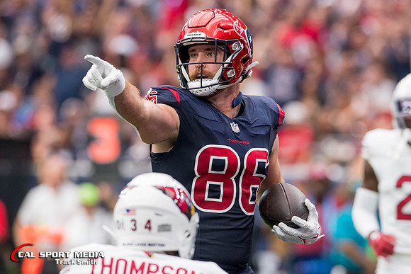 NFL 2023: Cardinals vs Texans NOV 19
