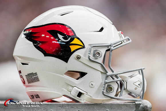 NFL 2023: Cardinals vs Texans NOV 19
