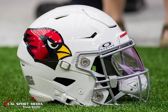 NFL 2023: Cardinals vs Texans NOV 19