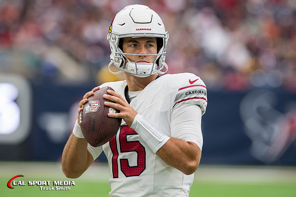 NFL 2023: Cardinals vs Texans NOV 19