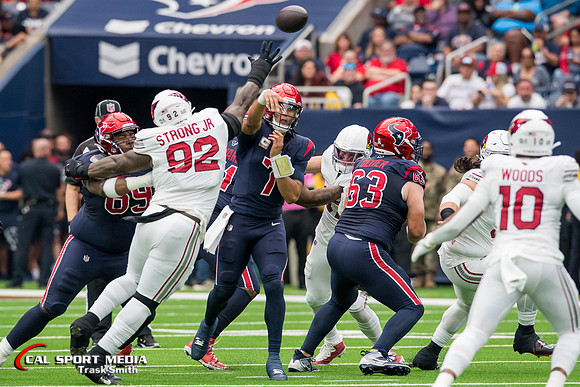NFL 2023: Cardinals vs Texans NOV 19