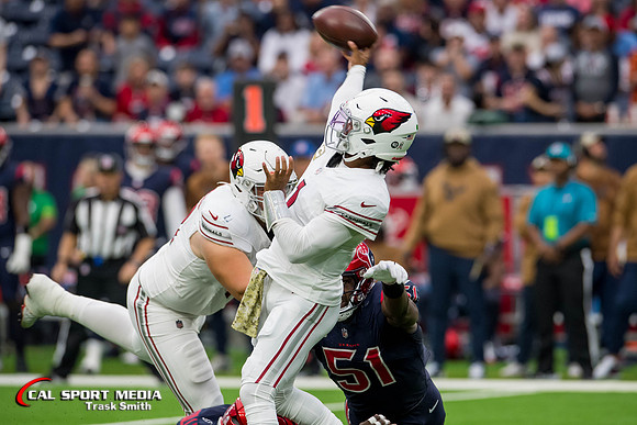 NFL 2023: Cardinals vs Texans NOV 19
