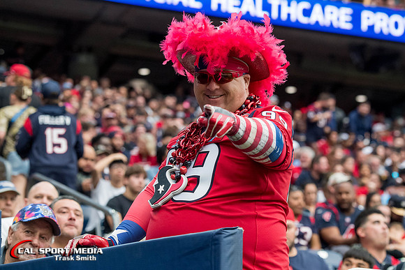 NFL 2023: Cardinals vs Texans NOV 19