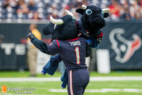 NFL 2016 - Houston Texans vs San Diego Chargers