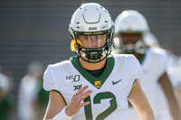NCAA Football 2019: Baylor vs Rice SEP 21