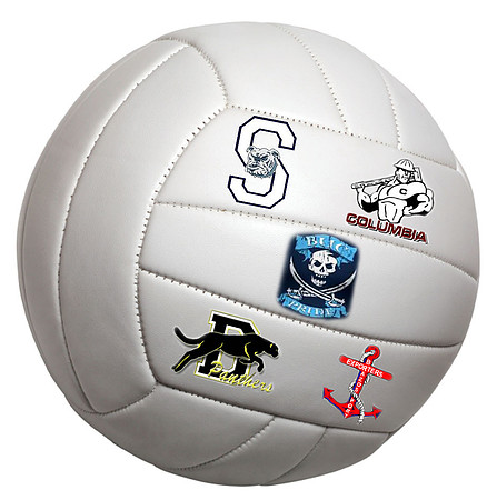 volleyball isolated