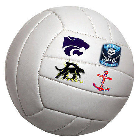 volleyball isolated
