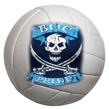 volleyball isolated