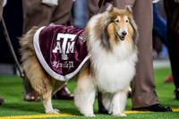 NCAA Football 2019: Texas Bowl - Texas A&M vs Oklahoma State DEC 27