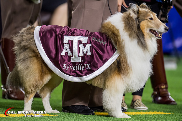 NCAA Football 2019: Texas Bowl - Texas A&M vs Oklahoma State DEC 27
