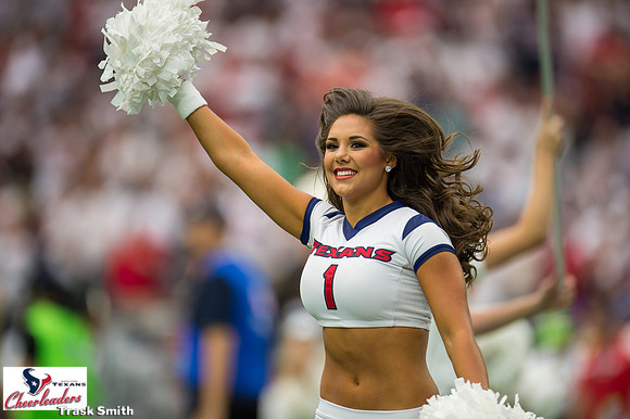 NFL 2015 - Houston Texans vs Kansas City Chiefs