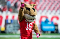 NCAA Football 2016: UCF vs Houston OCT 29