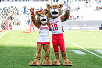NCAA Football 2018: Lockheed Martin Armed Forces Bowl - Army vs Houston DEC 22