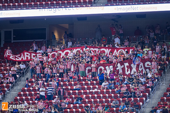 Soccer 2014 - AC Milan vs Chivas de Guadalajara