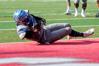 NCAA Football 2019: Memphis vs Houston NOV 16